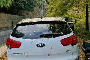 kia sportage 1.7 crdi 110cv