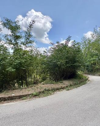 AMPIO TERRENO AGRICOLOA POCA DISTANZA DAL CENTRO