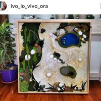 Quadro vegetale stabilizzato