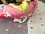 Immagine 2