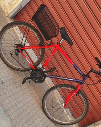 Bicicletta City Bike 