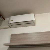  2 condizionatori con pompa di calore  