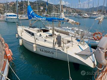 barca a vela Polaris 37 