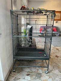 gabbia per uccelli