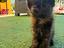 Immagine 6