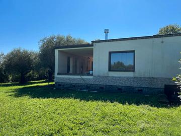 Casale con piscina a gallese (vt) - 14