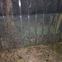 due cancelli in ferro