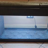 acquario 80lt