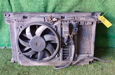 CALANDRA PEUGEOT 207 1Â° Serie (06>09)