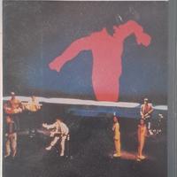 vhs home of the brave 