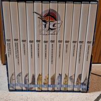 Big fish dvd adventures