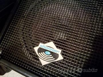 Monitor Shonner amplificati