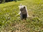 Immagine 10