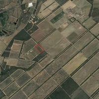 Terreno agricolo mq 12500