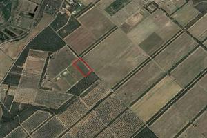 Terreno agricolo mq 12500
