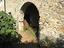 Immagine 10