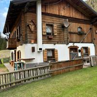 Chalet casa di montagna val visdende