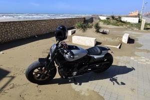 Harley Davidson Sporster S 1250