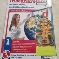 libro insegnare  lim