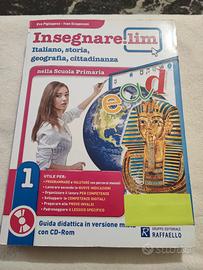 libro insegnare  lim