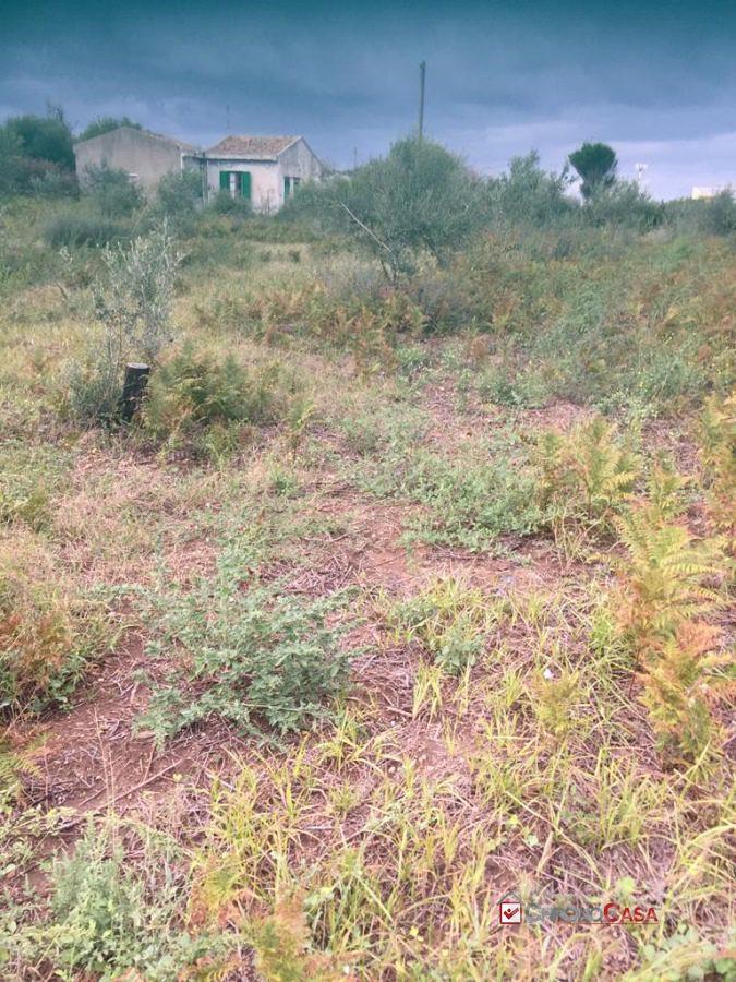 Terreno a Piano Torre rif. TSF-5023 - Vista 2