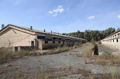 Immobile in asta di 21509 m² con 5 locali a Montef