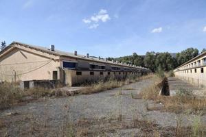 Immobile in asta di 21509 m² con 5 locali a Montef