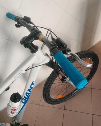 MTB Giant 