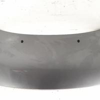 COFANO ANT. CITROEN C3 «I» (2005)