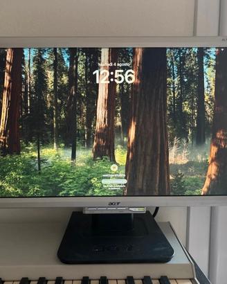 2 pz Schermo Acer 19”