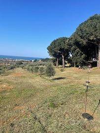 Annesso e terreno agricolo a san vincenzo