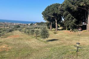Annesso e terreno agricolo a san vincenzo