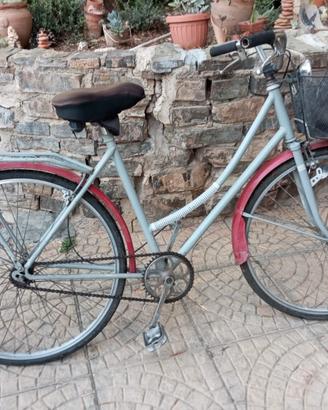 bici da passeggio 