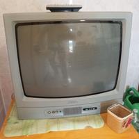 Televisore zona Argentario