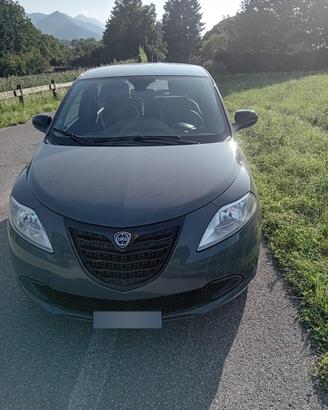 LANCIA Y ELEFANTINO 1.2 BENZINA – 2014