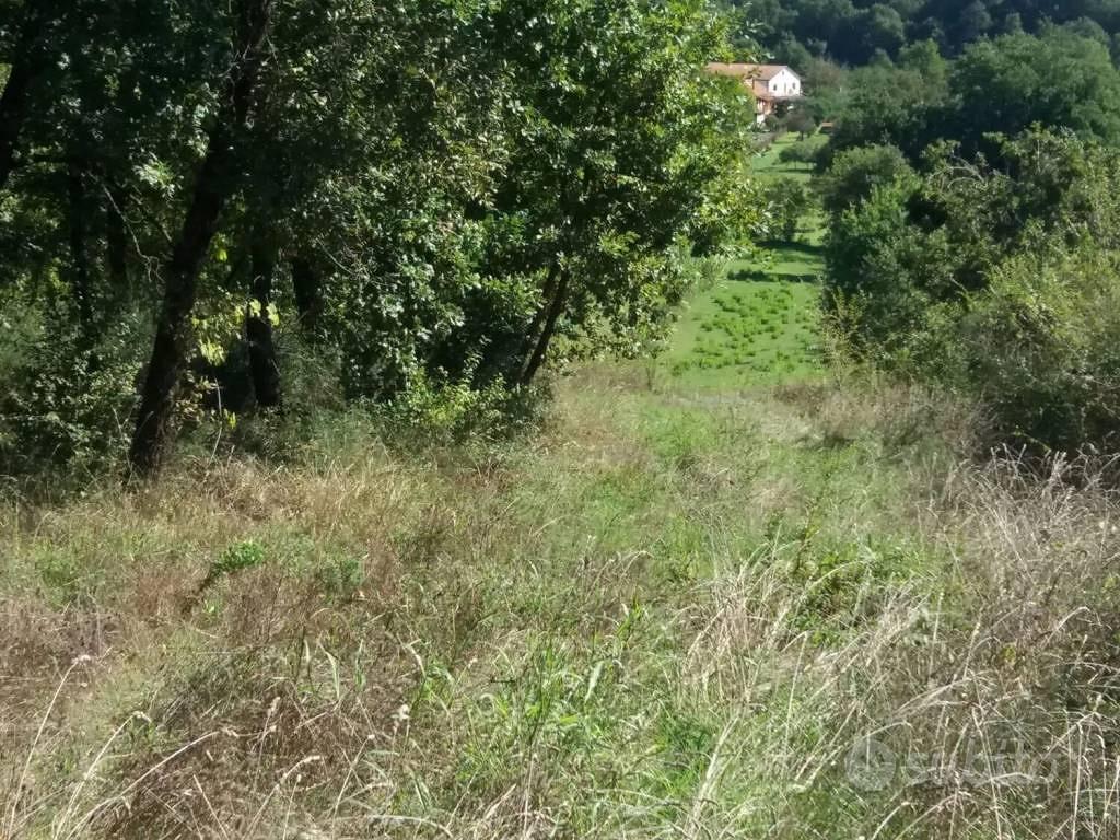 Terreno di 13000 m² a Ceprano - Altro
