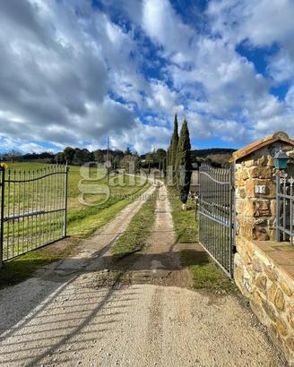 Appartamento Campagnatico [Cod. rif 3306704VRG]