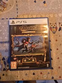 campioni di quidditch deluxe edition