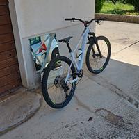 Rockrider AM 100 HT 2021