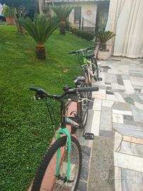 Bici usate 