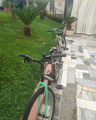 Bici usate 