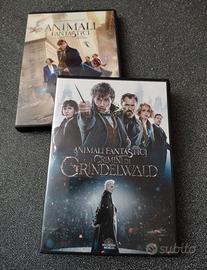 DVD animali fantastici 