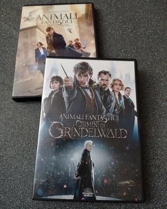 DVD animali fantastici 