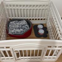 Recinto / Kennel per animali domestici– come nuovo