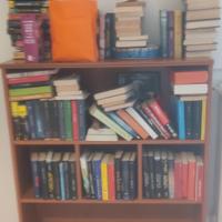 lotto libri thriller e gialli  vari autori 