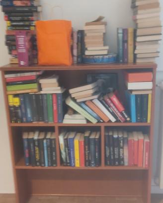 lotto libri thriller e gialli  vari autori 