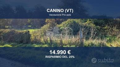 Immobile in asta di 18460 m² a Canino