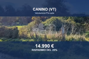 Immobile in asta di 18460 m² a Canino