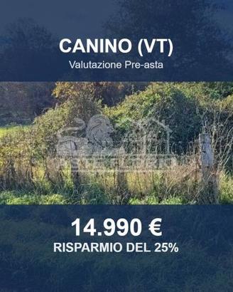 Immobile in asta di 18460 m² a Canino