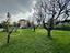 Immagine 12